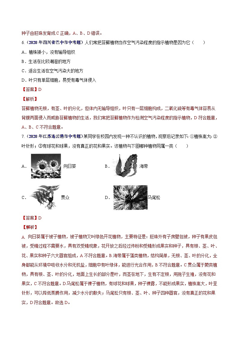 2020年中考生物真题分项汇编专题09 植物动物和微生物类群（含解析）03