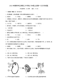 重庆市江津第二中学校2023-2024学年八年级上学期第一次月考生物试题（含答案）