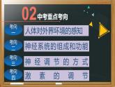 中考生物二轮复习核心考点复习课件专题09 人体生命活动的调节（含答案）