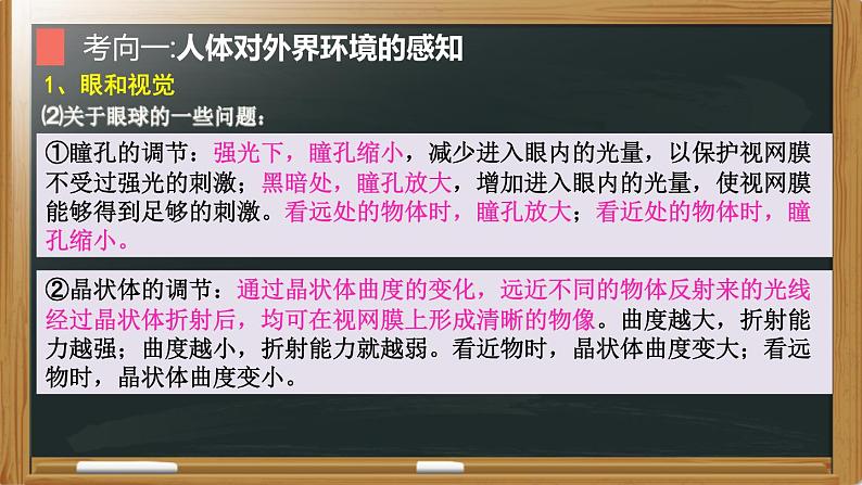 中考生物二轮复习核心考点复习课件专题09 人体生命活动的调节（含答案）06