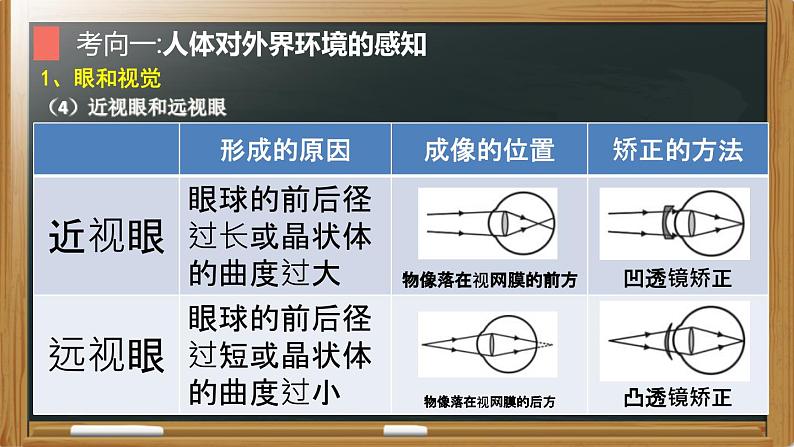 中考生物二轮复习核心考点复习课件专题09 人体生命活动的调节（含答案）08