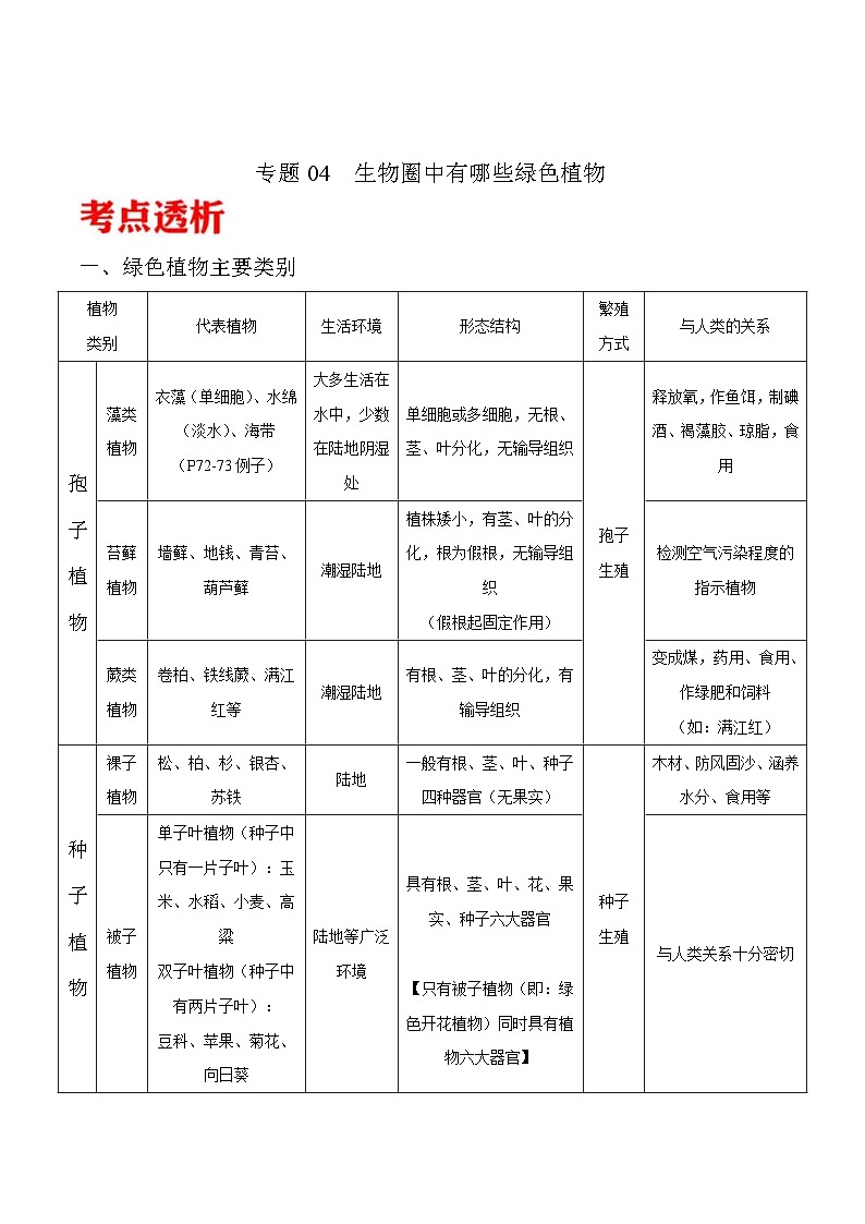 中考生物三轮冲刺核心考点练习专题04 生物圈中有哪些绿色植物（含解析）01