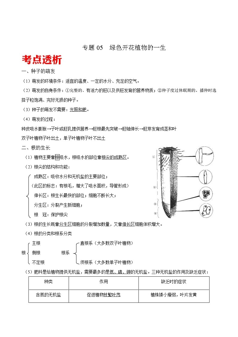 中考生物三轮冲刺核心考点练习专题05 绿色开花植物的一生（含解析）第1页