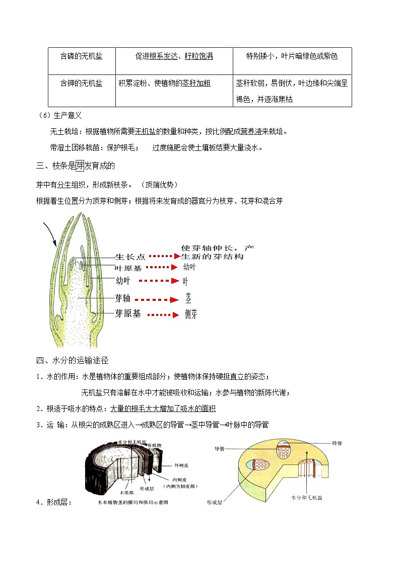 中考生物三轮冲刺核心考点练习专题05 绿色开花植物的一生（含解析）第2页