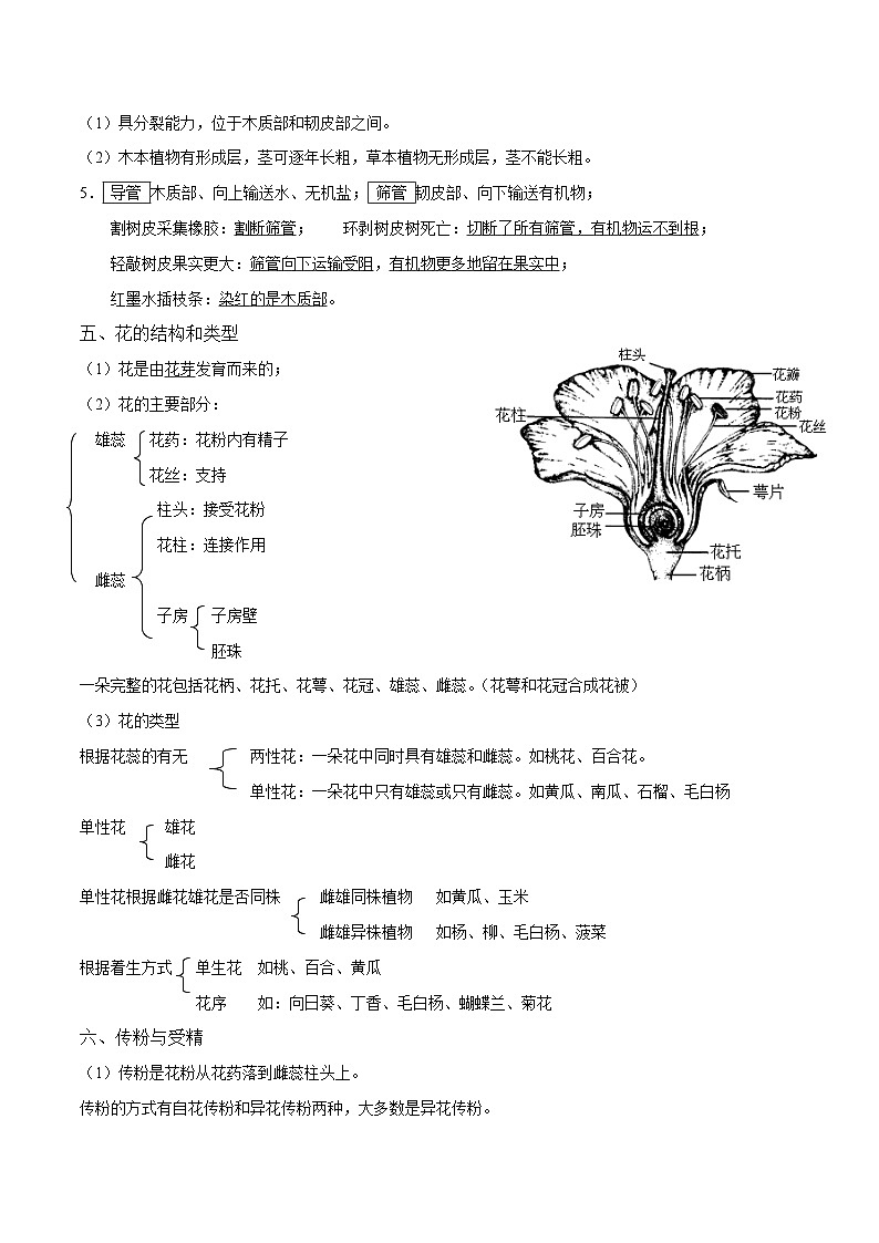 中考生物三轮冲刺核心考点练习专题05 绿色开花植物的一生（含解析）第3页