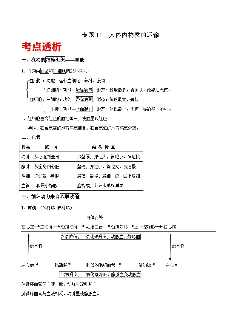 中考生物三轮冲刺核心考点练习专题11 人体内物质的运输（含解析）01