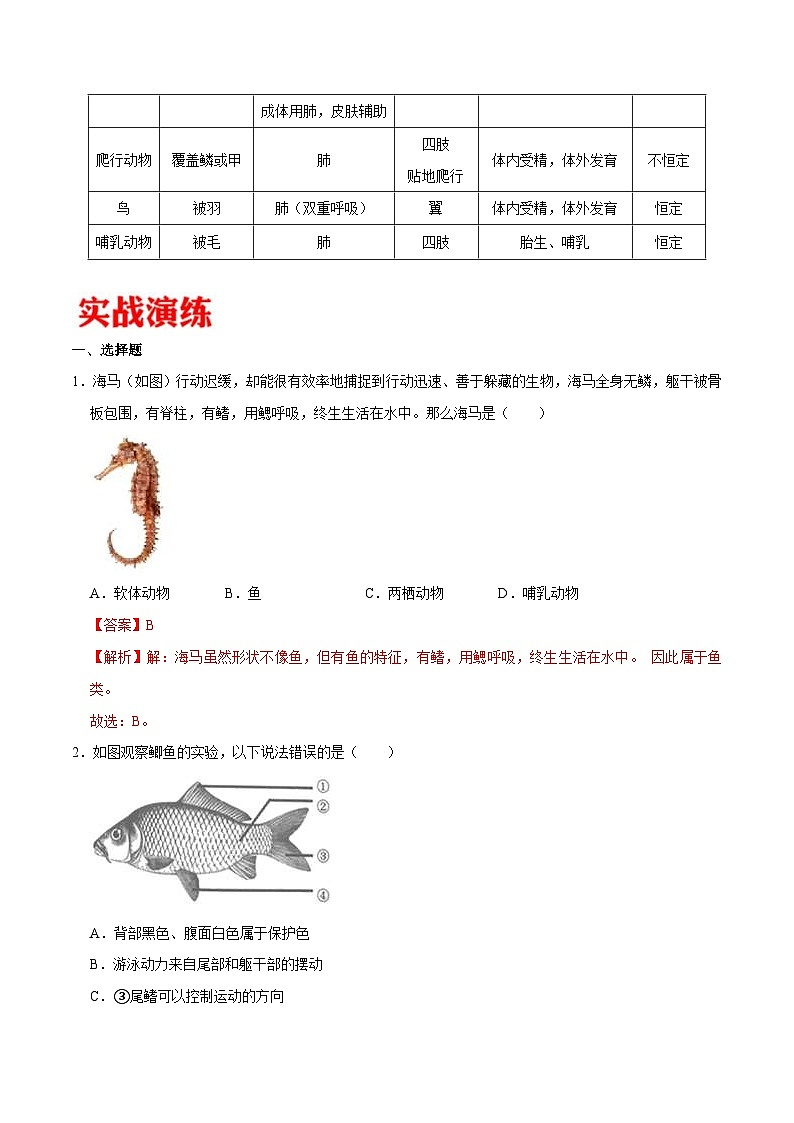 中考生物三轮冲刺核心考点练习专题14 多种多样的动物类群（含解析）03