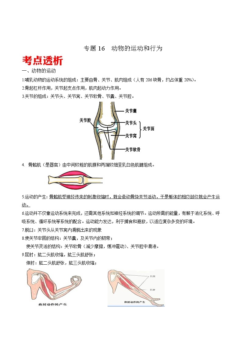 中考生物三轮冲刺核心考点练习专题16 动物的运动和行为（含解析）01