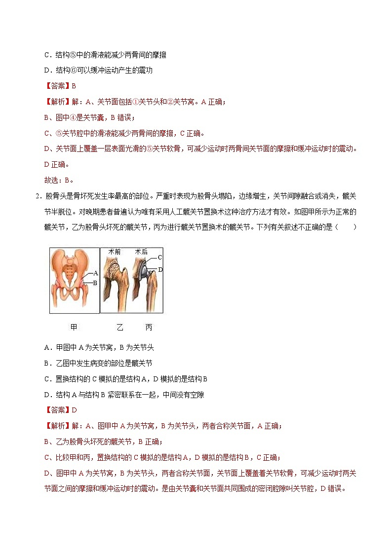 中考生物三轮冲刺核心考点练习专题16 动物的运动和行为（含解析）03