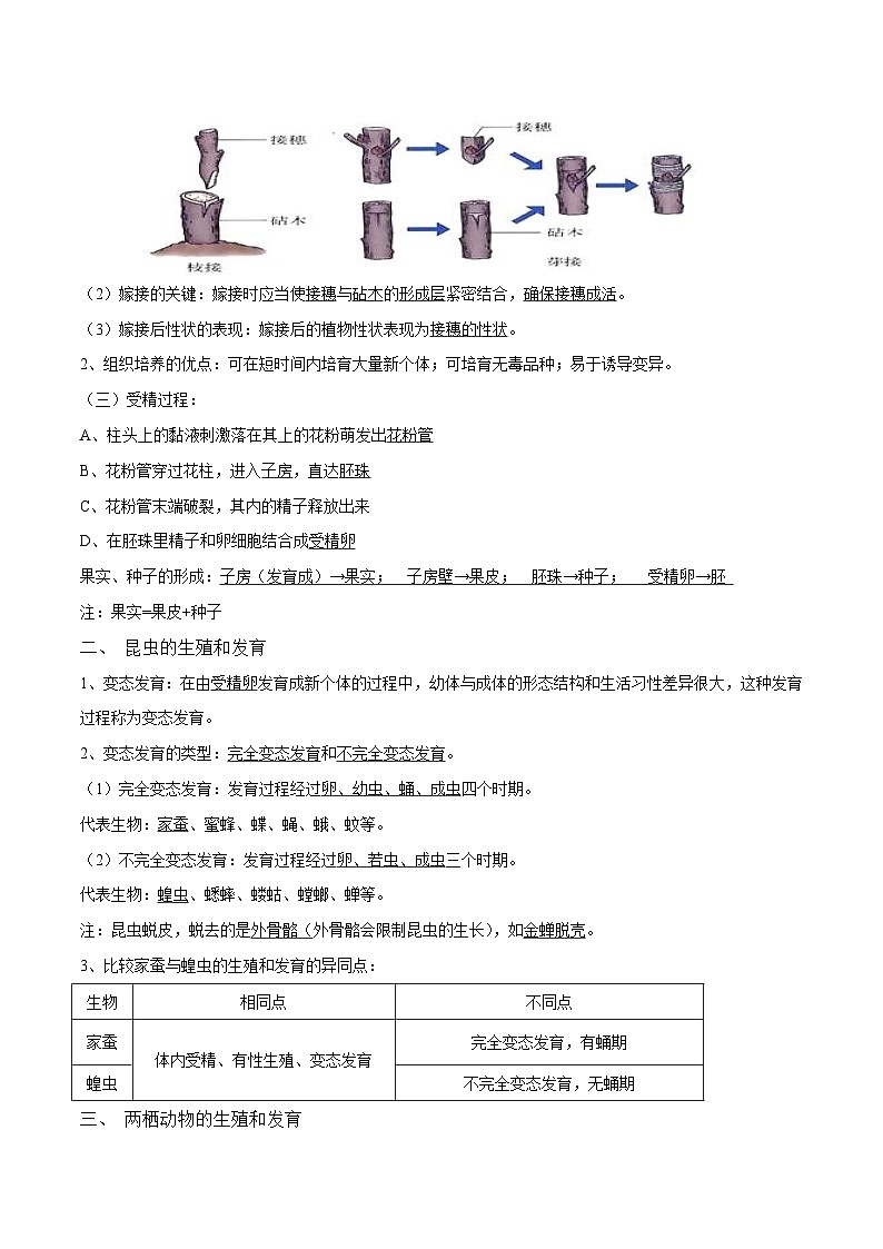 中考生物三轮冲刺核心考点练习专题18 生物的生殖和发育（含解析）02