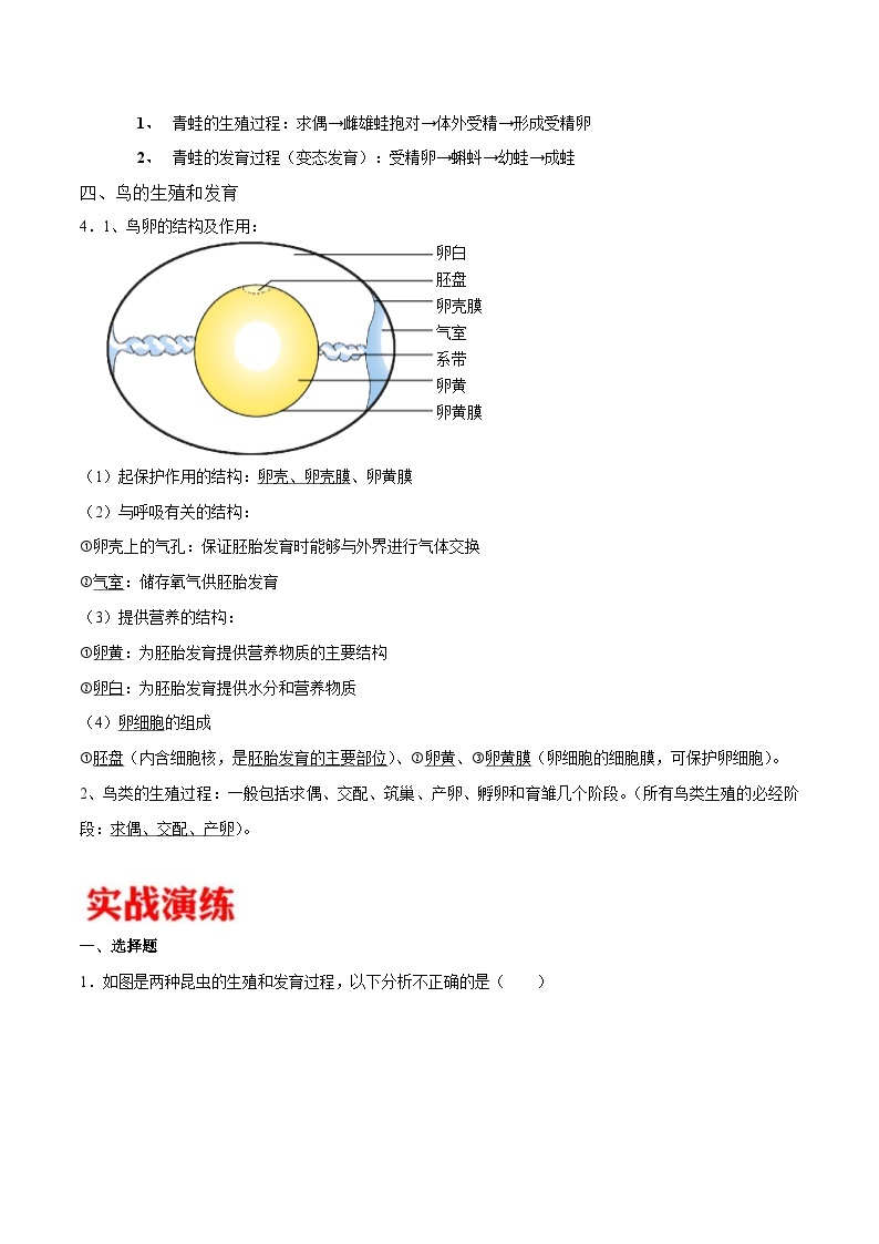 中考生物三轮冲刺核心考点练习专题18 生物的生殖和发育（含解析）03