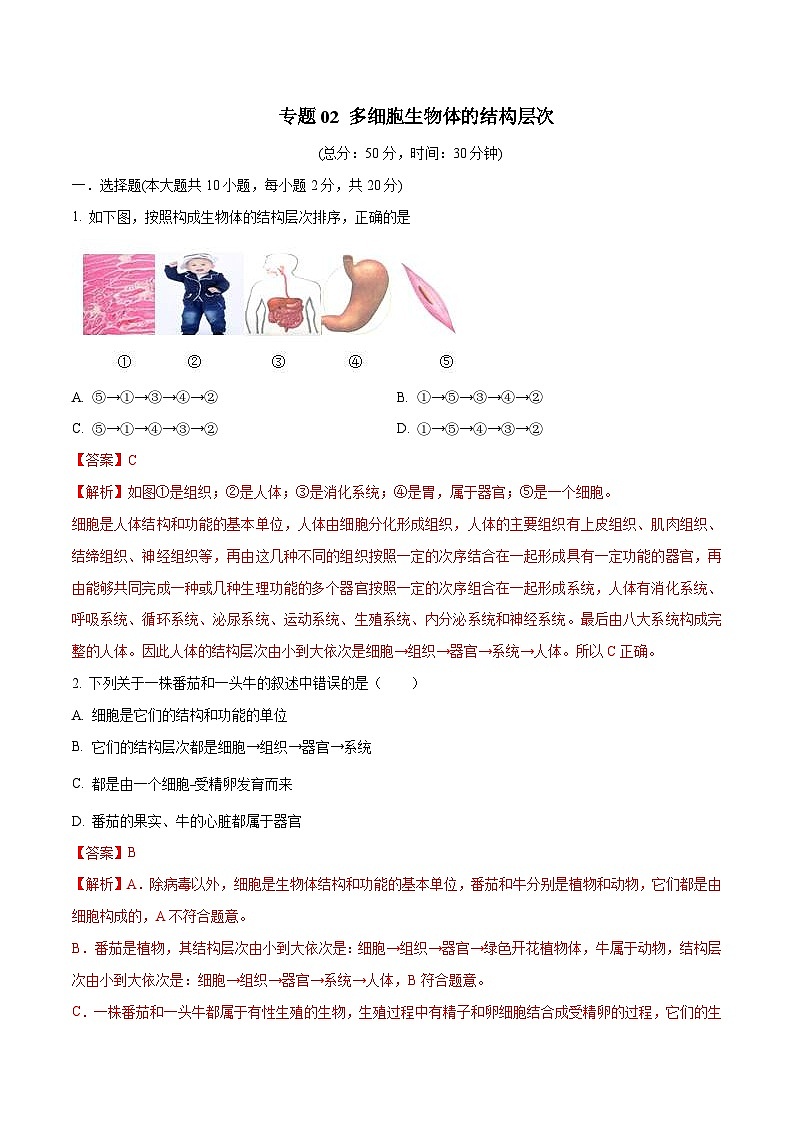 中考生物三轮冲刺刷题练习专题02 多细胞生物体的结构层次（含解析）01