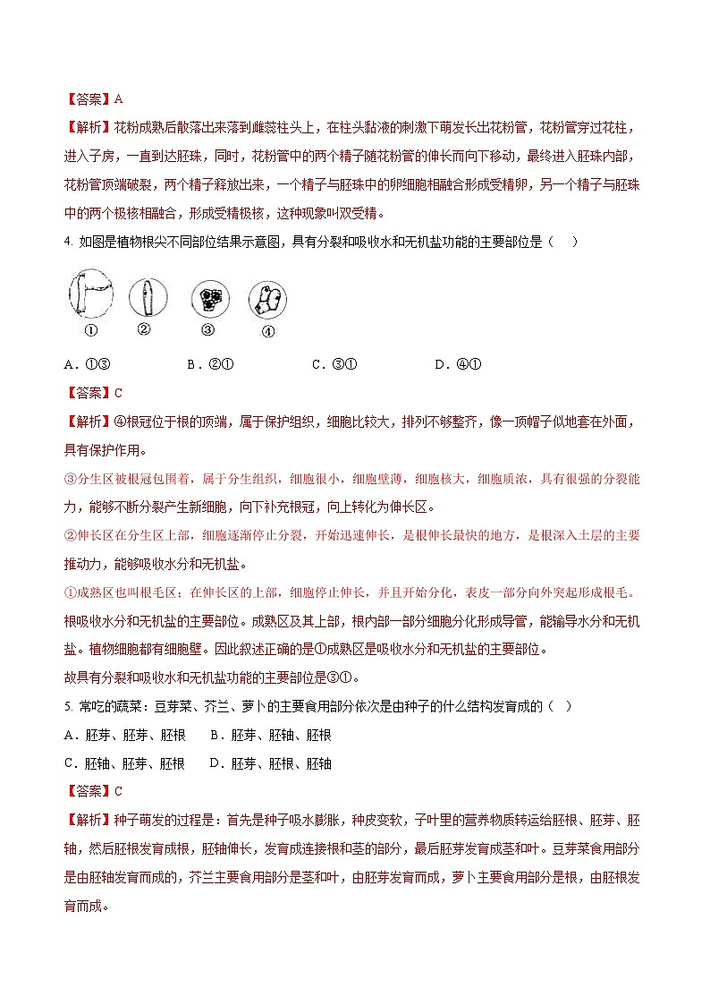 中考生物三轮冲刺压轴题专题03  绿色开花植物的一生（含解析）02