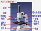 中考生物一轮复习讲练测课件：专题02 细胞是生命活动的基本单位（含答案）