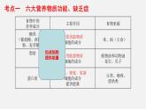 中考生物一轮复习讲练测课件：专题10 人体的营养（含答案）