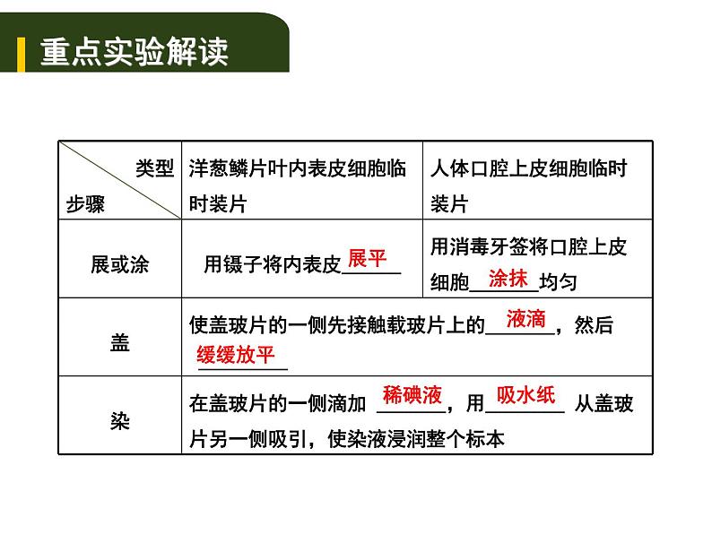 中考生物一轮复习课件2.1细胞是生命活动的基本单位（实验）（含答案）第2页