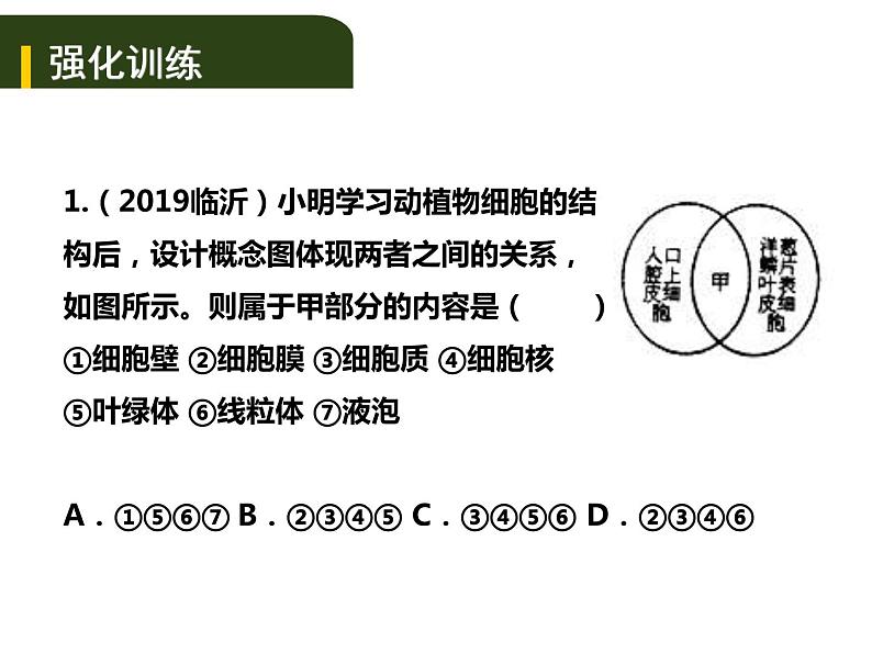 中考生物一轮复习课件2.1细胞是生命活动的基本单位（实验）（含答案）第5页