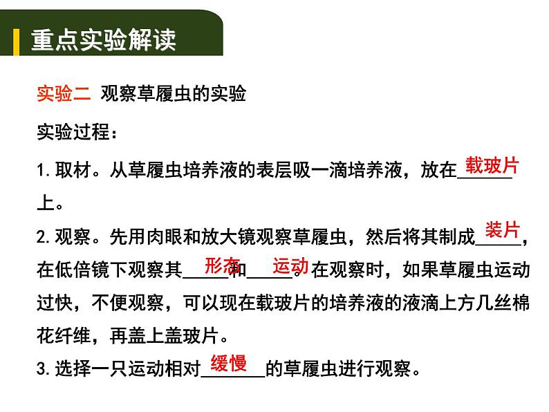 中考生物一轮复习课件2.1细胞是生命活动的基本单位（实验）（含答案）第8页