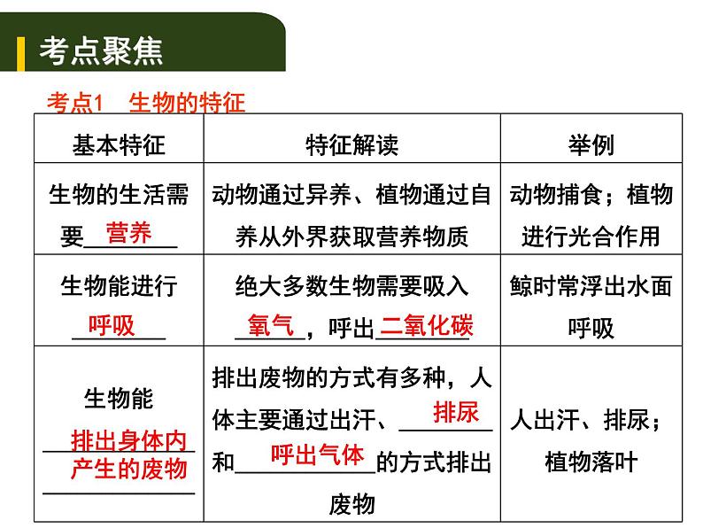 中考生物一轮复习课件3.1生物的生存依赖一定的环境（含答案）01