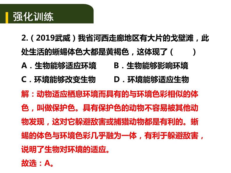 中考生物一轮复习课件3.1生物的生存依赖一定的环境（含答案）07