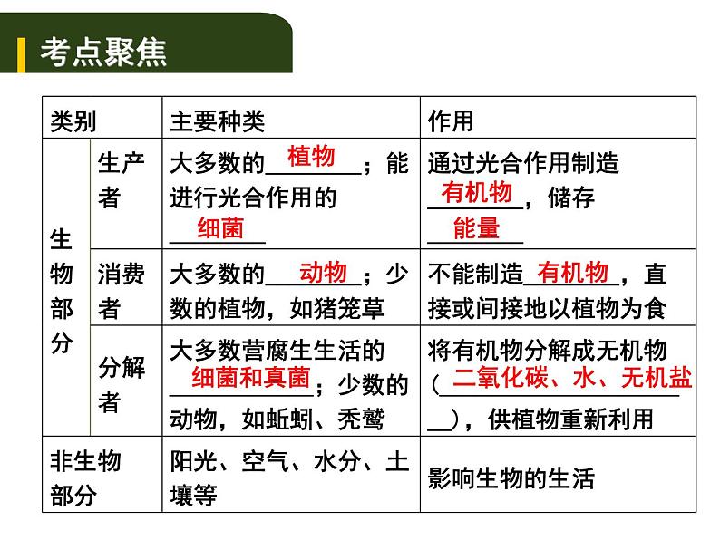 中考生物一轮复习课件3.2生物与环境组成  生态系统生物圈是人类与其他生物的共同家园（含答案）02