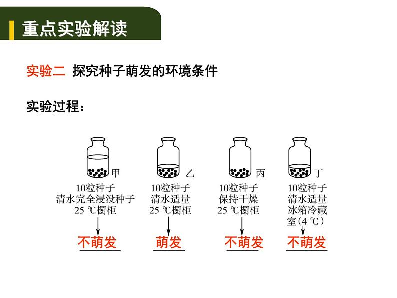 中考生物一轮复习课件4.1绿色开花植物的一生（实验）（含答案）07