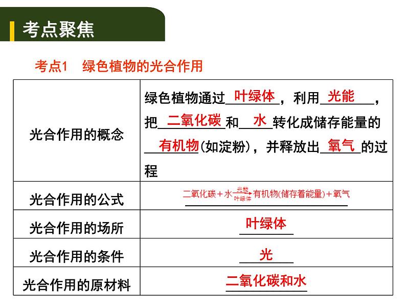 中考生物一轮复习课件4.3绿色植物的光合作用和呼吸作用（含答案）01