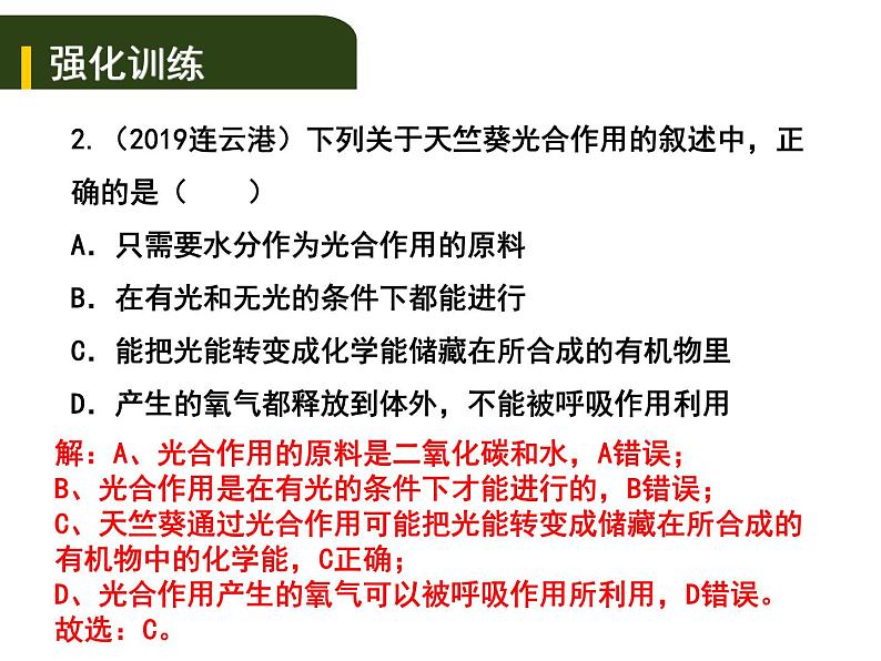 中考生物一轮复习课件4.3绿色植物的光合作用和呼吸作用（含答案）06