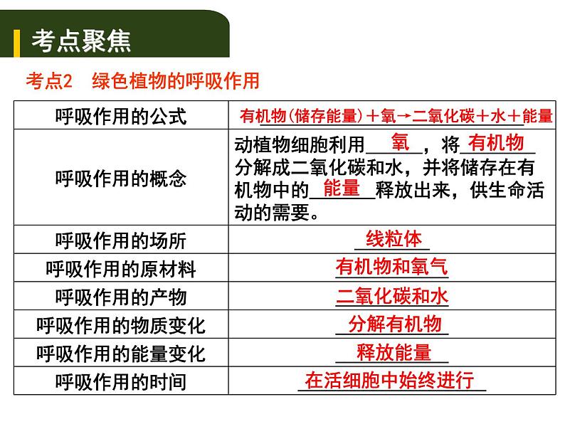 中考生物一轮复习课件4.3绿色植物的光合作用和呼吸作用（含答案）08