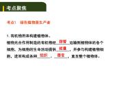 中考生物一轮复习课件4.4绿色植物对生物圈有重大作用（含答案）