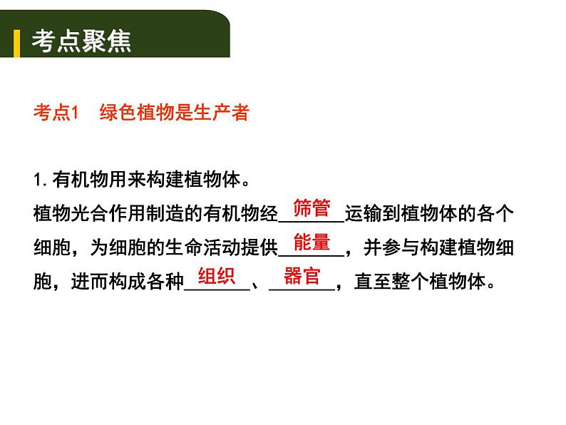 中考生物一轮复习课件4.4绿色植物对生物圈有重大作用（含答案）01