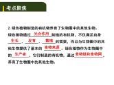 中考生物一轮复习课件4.4绿色植物对生物圈有重大作用（含答案）