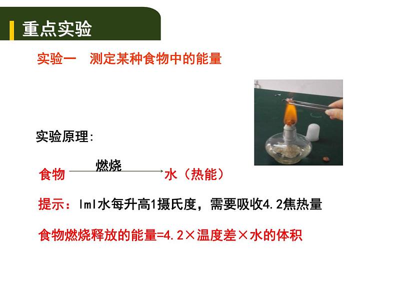 中考生物一轮复习课件5.1人的食物来源于环境（实验）（含答案）01