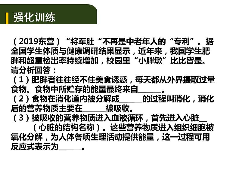 中考生物一轮复习课件5.1人的食物来源于环境（实验）（含答案）05