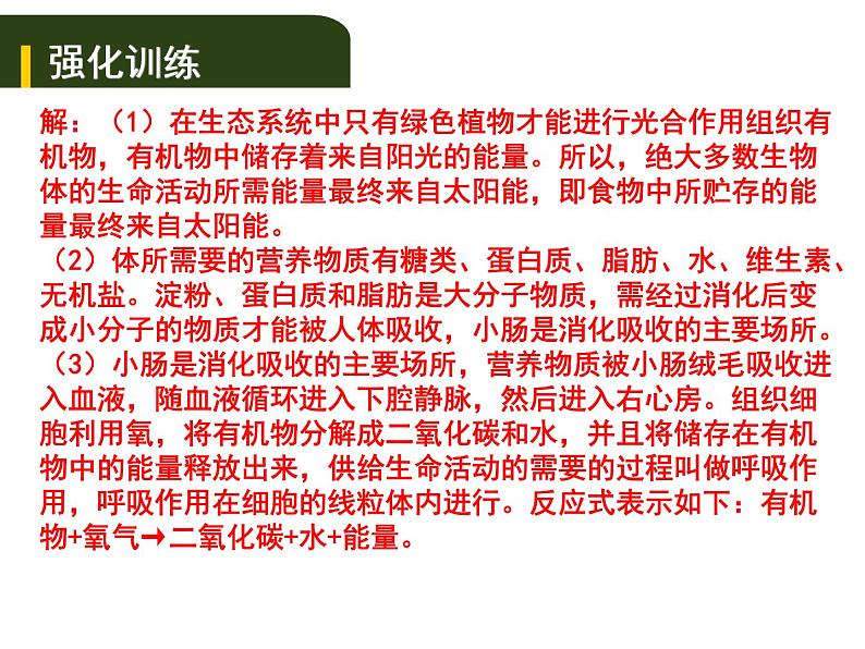 中考生物一轮复习课件5.1人的食物来源于环境（实验）（含答案）07