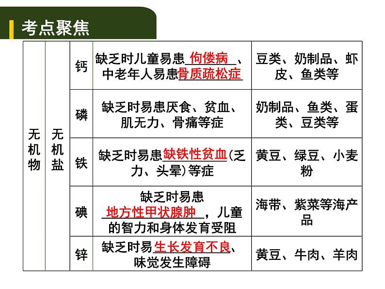 中考生物一轮复习课件5.1人的食物来源于环境（一）（含答案）04