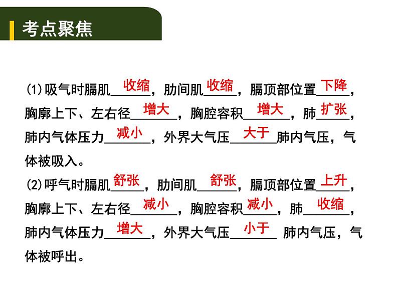 中考生物一轮复习课件5.2人体生命活动的能量供给（含答案）03