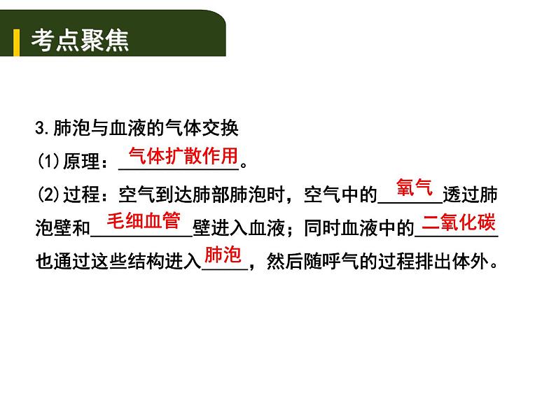 中考生物一轮复习课件5.2人体生命活动的能量供给（含答案）04