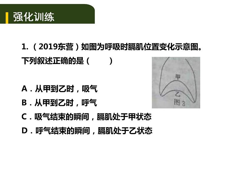中考生物一轮复习课件5.2人体生命活动的能量供给（含答案）05