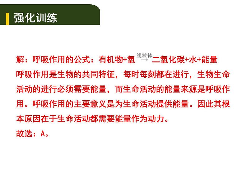 中考生物一轮复习课件5.2人体生命活动的能量供给（含答案）08