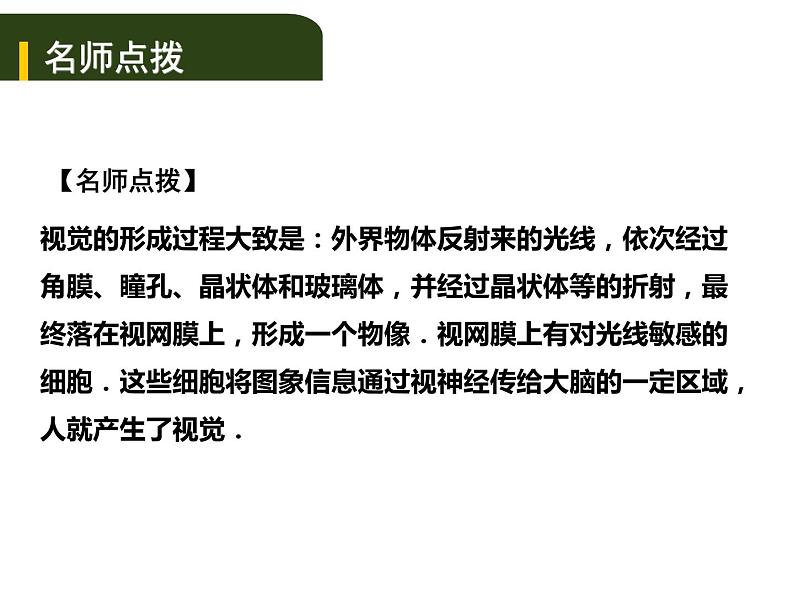 中考生物一轮复习课件5.4人体通过神经系统和内分泌系统调节生命活动（含答案）第7页