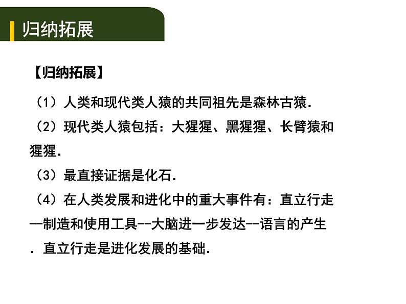 中考生物一轮复习课件5.5人是生物圈中的一员（含答案）第3页