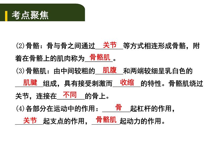 中考生物一轮复习课件6.动物的运动和行为（含答案）03