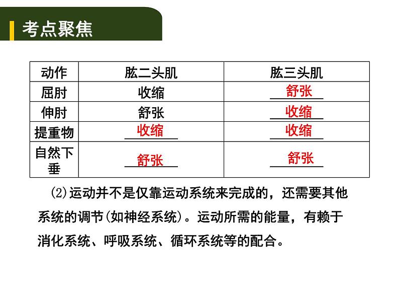 中考生物一轮复习课件6.动物的运动和行为（含答案）05