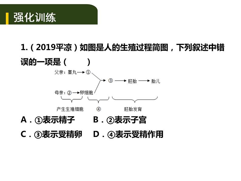 中考生物一轮复习课件7.1人的生殖和发育与青春期（含答案）06