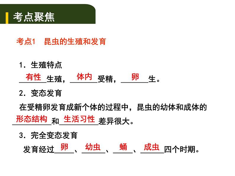 中考生物一轮复习课件7.2动、植物的生殖和发育（含答案）01