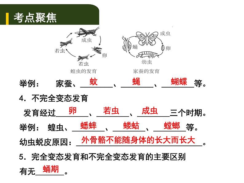 中考生物一轮复习课件7.2动、植物的生殖和发育（含答案）02