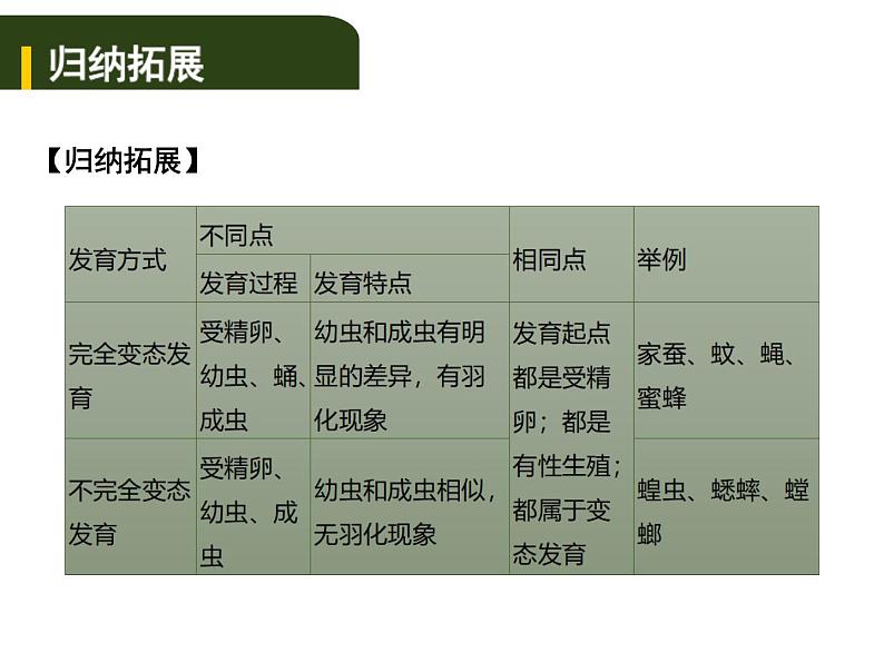 中考生物一轮复习课件7.2动、植物的生殖和发育（含答案）04