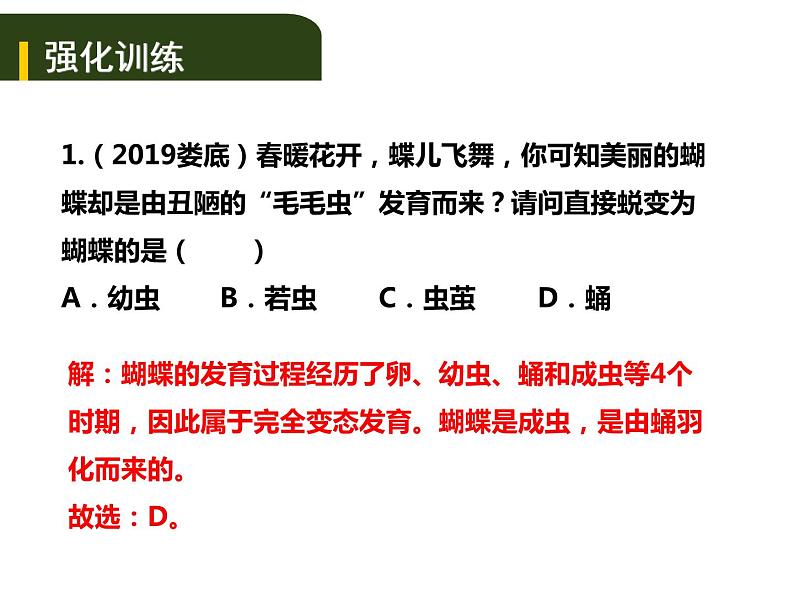 中考生物一轮复习课件7.2动、植物的生殖和发育（含答案）05