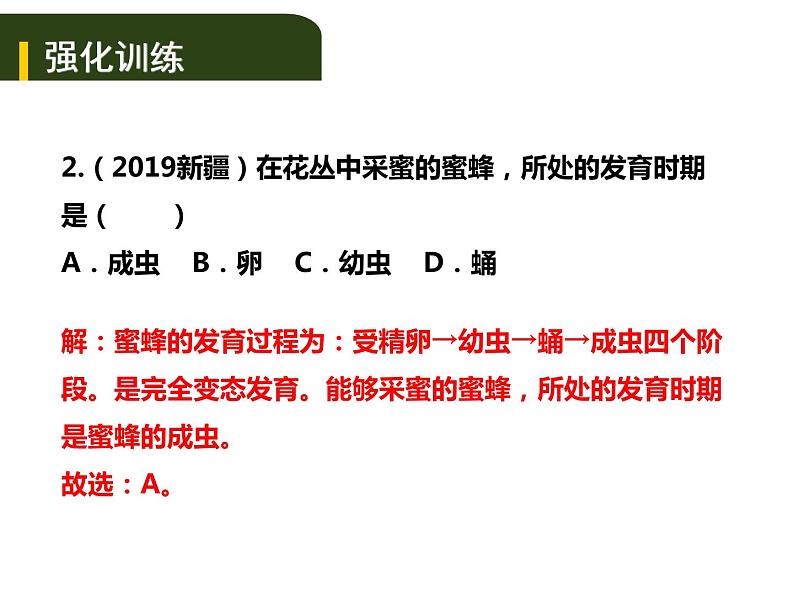 中考生物一轮复习课件7.2动、植物的生殖和发育（含答案）06